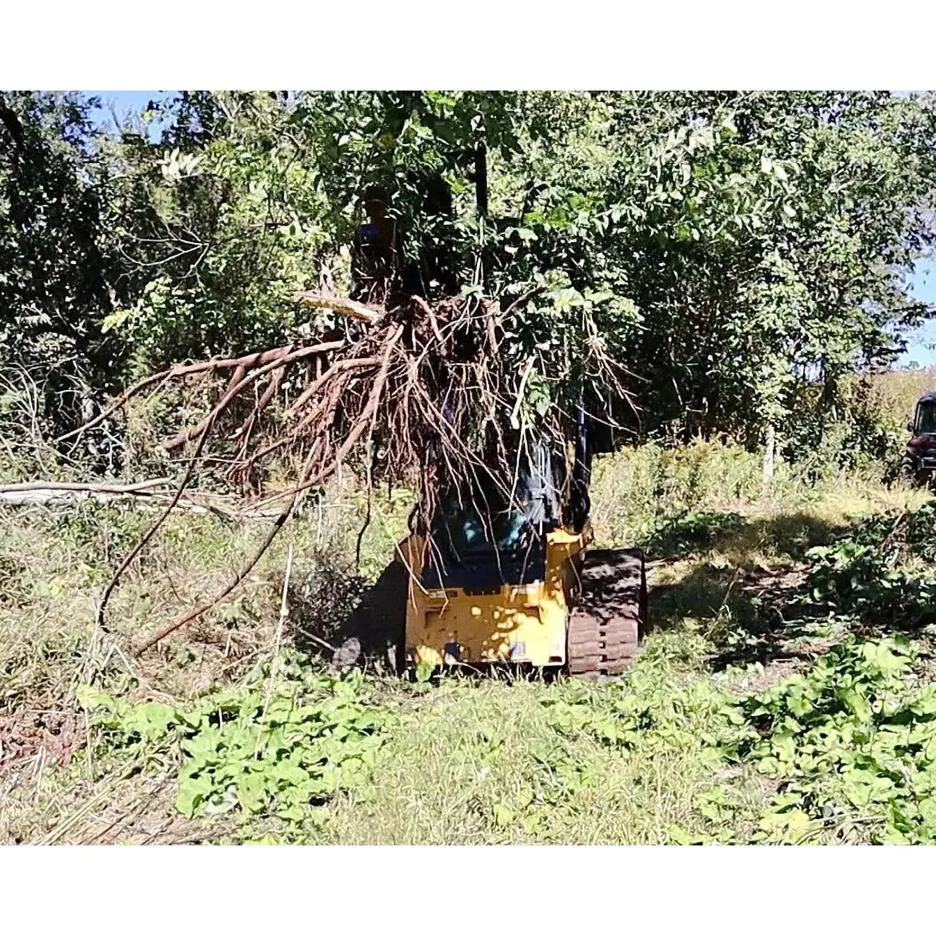 Efficient Land Management - STP-34 Skid Steer Tree Puller Stinger Attachments Stinger Attachments